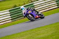 Middle Group Blue Bikes